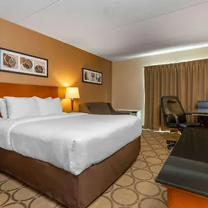 Comfort South Mini-hôtel